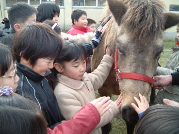 乗馬教室