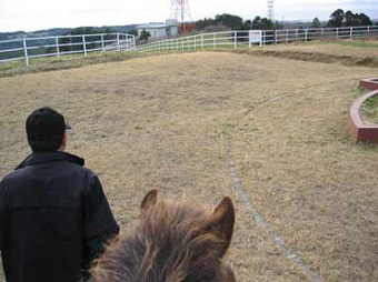 キンズの乗馬体験