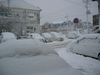 春の雪